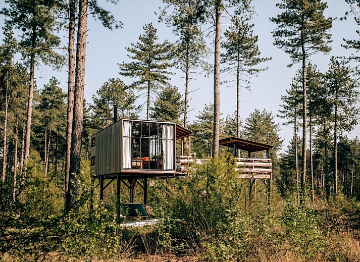 Guest house 050735 • Holiday property Limburg • Treetop 