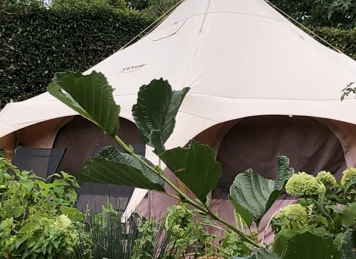 Moderne keuken in Vakantievilla De Witte Merel, Paal, Beringen, Limburg met uitzicht op tuin.