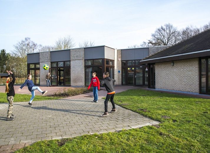 Unterkunft 051001 - Ferienhaus Limburg - Vakantiehuis Pietersheim