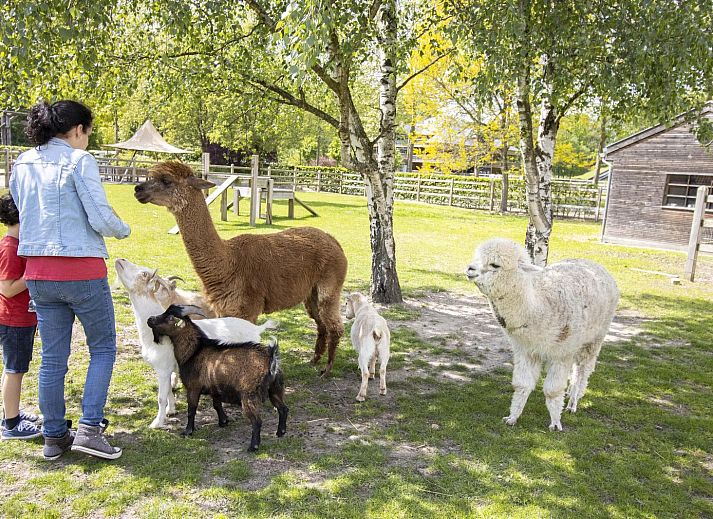 Helles Schlafzimmer und Kueche in Plus Studio, einer Ferienunterkunft in Neeroeteren, Limburg, mit Zugang zu einem Balkon.