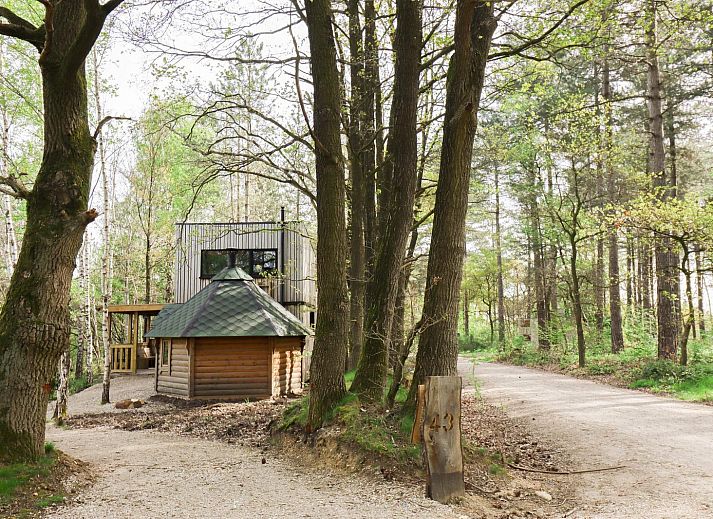 Comfort Classic met saunahuisje in Neeroeteren, Limburg, Belgie, omgeven door bosrijke natuur en een uitnodigend houten terras.