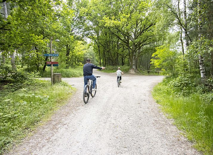Overdekte veranda van Comfort Classic in Neeroeteren, Limburg, Belgie, met houten zitgedeelte en barbecue, omgeven door natuur.