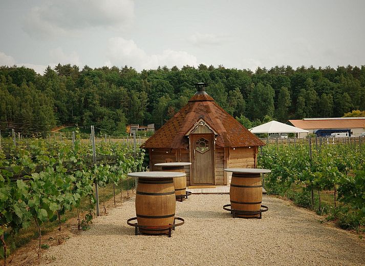 Binnenruimte van Comfort Classic vakantiehuis in Neeroeteren, Limburg, Belgie, met uitzicht op veranda en omliggende bossen.