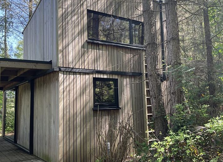 Gezellige binnenruimte van Comfort Sweet Wellness vakantiehuis in Neeroeteren, Limburg met houten interieur en sfeervolle inrichting.