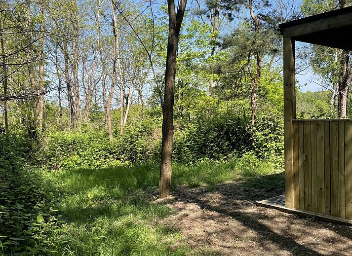 Gezellige binnenruimte van Comfort Sweet Wellness vakantiehuis in Neeroeteren, Limburg met houten interieur en sfeervolle inrichting.