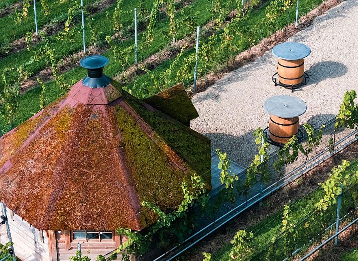 Comfort Sweet Wellness vakantiehuis in Neeroeteren, Limburg met knusse eetruimte en houten interieur voor een ontspannen verblijf.