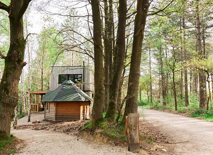 Guest house 0513346 • Holiday property Limburg • Vakantiehuis in Maaseik 