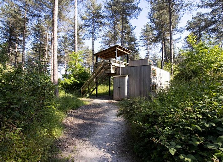 Verblijf 0513350 - Vakantiewoning Limburg - Huisje in Maaseik