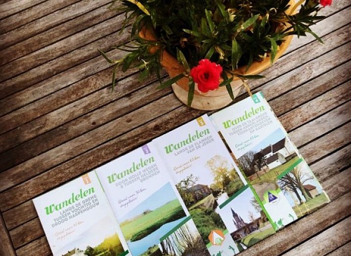 Charmante binnenplaats van vakantiehuis FreLune in Tongeren, Limburg, Belgie met rustieke stenen en groene accenten.