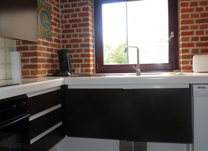 Entree van StadOase-Hasselt vakantiehuis in Limburg, Belgie met houten deur en bloempot.