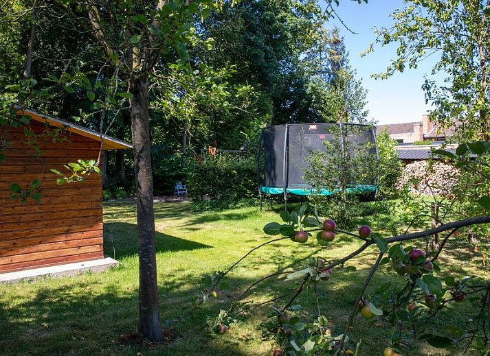 Entree van StadOase-Hasselt vakantiehuis in Limburg, Belgie met houten deur en bloempot.
