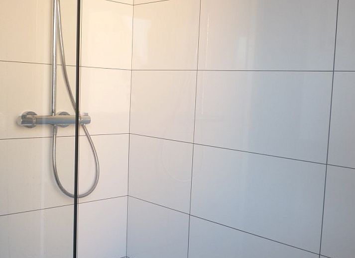 Entree van StadOase-Hasselt vakantiehuis in Limburg, Belgie met houten deur en bloempot.