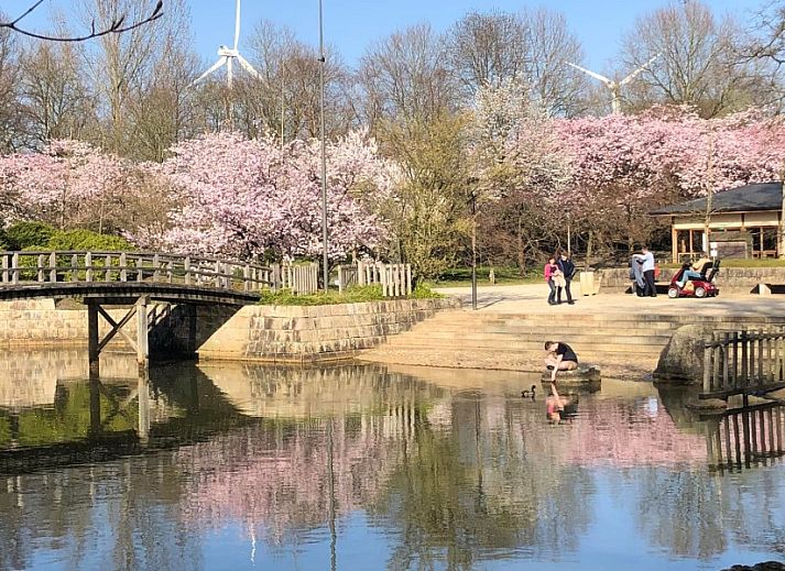 Gezellige woonkamer in StadOase-Hasselt, vakantiehuis in Hasselt, Belgie met comfortabele zithoek.