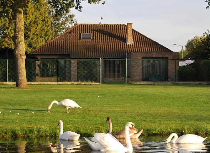 Guest house 052004 • Holiday property Limburg • Huisje in Zonhoven