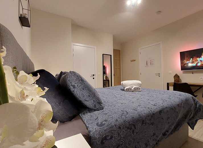 Guest house 0523803 - Bed and Breakfast Limburg - B&B Viator Tongeren