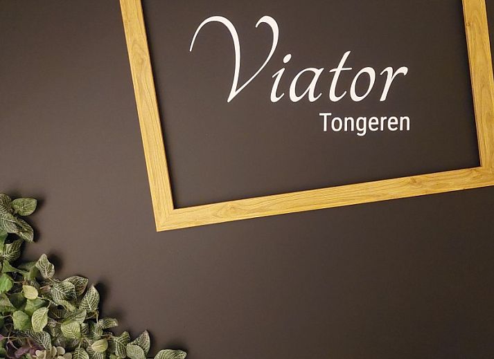 Guest house 0523803 - Bed and Breakfast Limburg - B&B Viator Tongeren