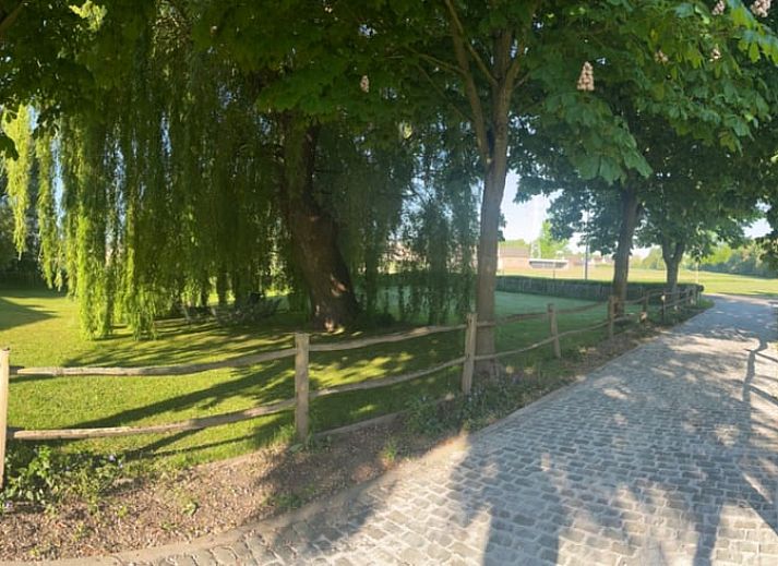 Unterkunft 052403 - Ferienhaus Limburg - Huisje in Bilzen
