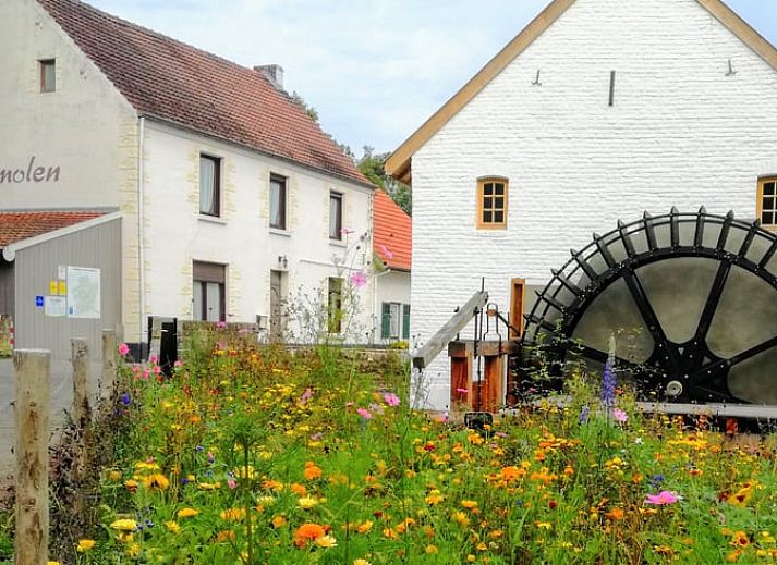 Unterkunft 053304 - Ferienhaus Limburg - Huisje in Opoeteren