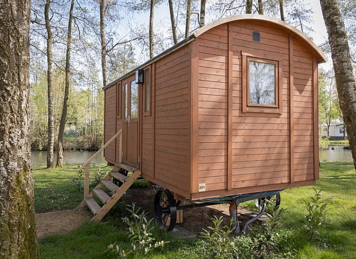 Guest house 053511 • Holiday property Limburg • Vakantiehuisje in Kinrooi 