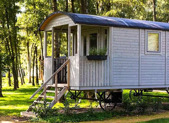 Guest house 053512 • Holiday property Limburg • Vakantiehuisje in Kinrooi
