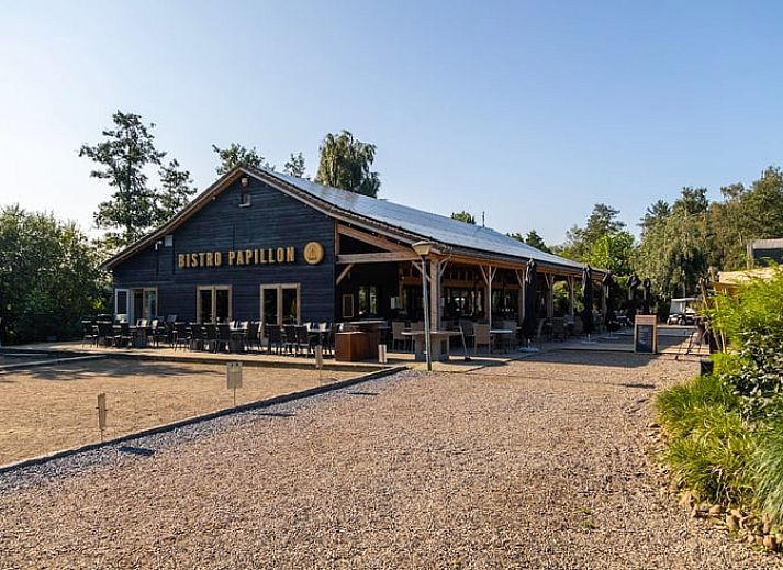 Guest house 053514 - Holiday property Limburg - Vakantiehuis in Kinrooi