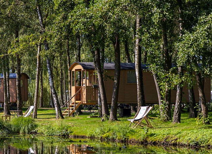 Verblijf 053523 • Vakantiewoning Limburg • Pipowagen met terras