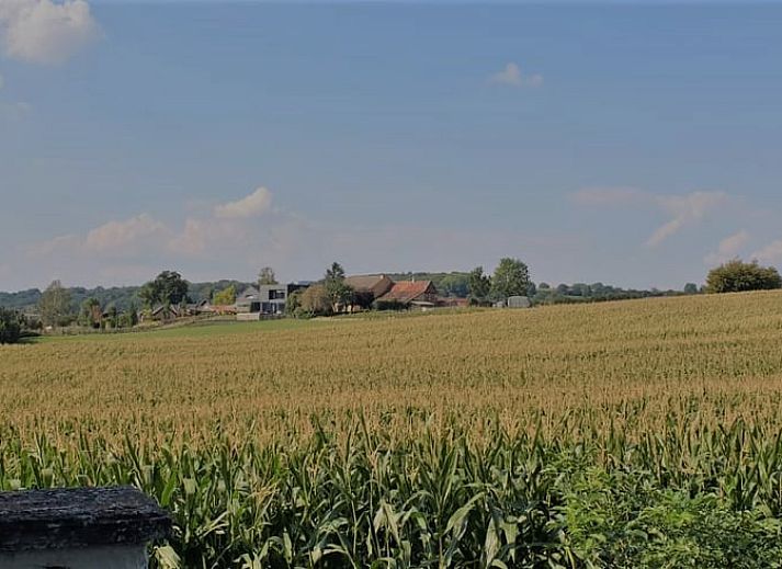 Geniet van het uitzicht vanaf het terras van Huisje in Sint Pietersvoeren, een vakantiehuis in het schilderachtige Limburgse landschap in Belgie.