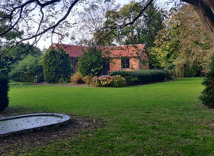 Guest house 054407 • Holiday property Limburg • Huisje in Sint-Truiden 
