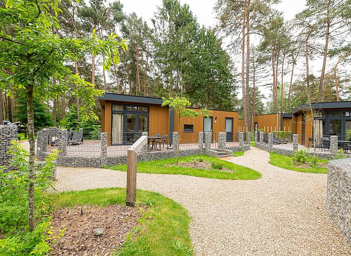 Guest house 054705 - Chalet Limburg - Chalet in Zutendaal