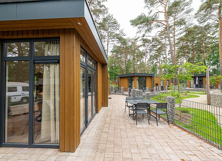 Guest house 054705 - Chalet Limburg - Chalet in Zutendaal