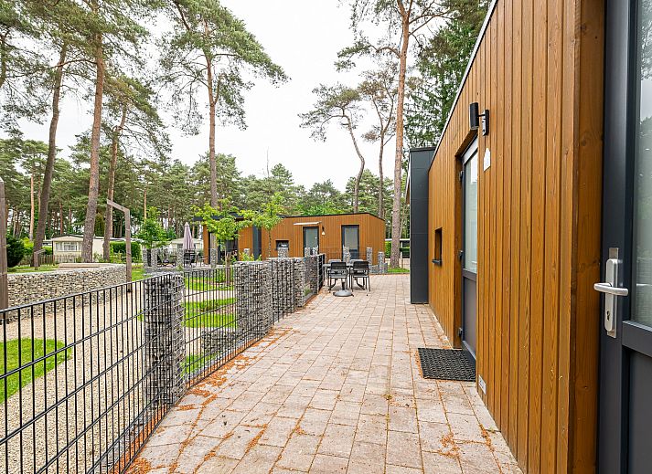 Guest house 054705 - Chalet Limburg - Chalet in Zutendaal