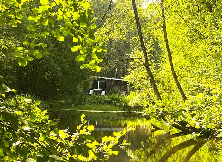 Guest house 0547103 - Holiday property Limburg - Huisje in Zutendaal