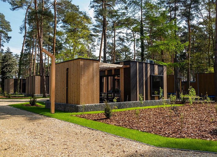 Guest house 0547105 • Holiday property Limburg • Forest Cottage