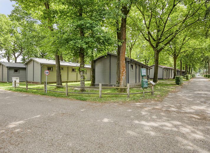 Unterkunft 0547116 - Ferienhaus Limburg - Vrijstaande woning in Zutendaal