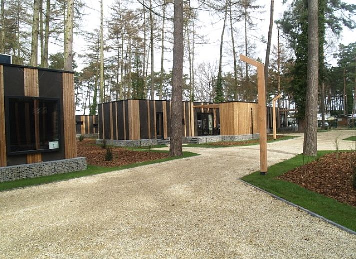 Vrijstaande woning in Zutendaal, een vakantiehuis omringd door natuur in Limburg, Belgi, biedt een serene omgeving voor ontspanning.