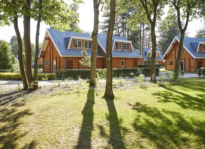 Guest house 054713 - Bungalow Limburg - Mooi Zutendaal | 12-persoons bungalow | 12C