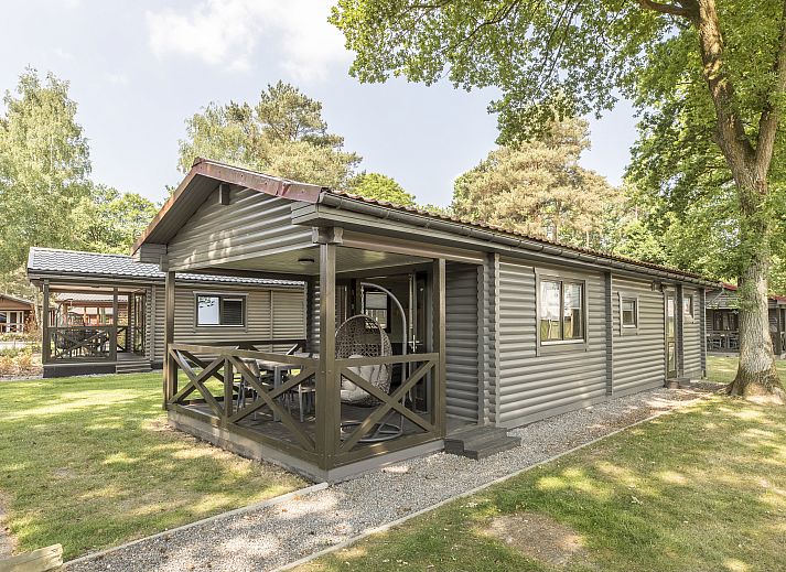 Mooi Zutendaal chalet in Limburg, Belgie met veranda en groene omgeving, ideaal voor 4-6 personen.
