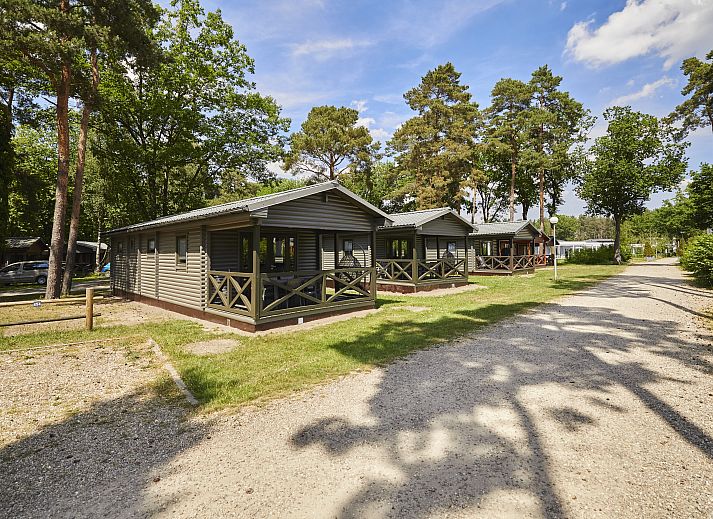 Mooi Zutendaal chalet in Limburg, Belgie, omringd door natuur met ruime veranda's voor een ontspannen vakantieverblijf.