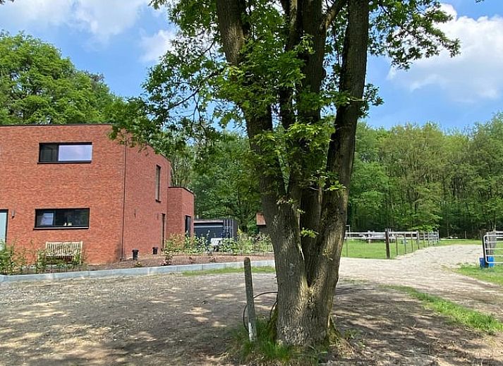 Unterkunft 0547163 • Ferienhaus Limburg • Huisje in Zutendaal