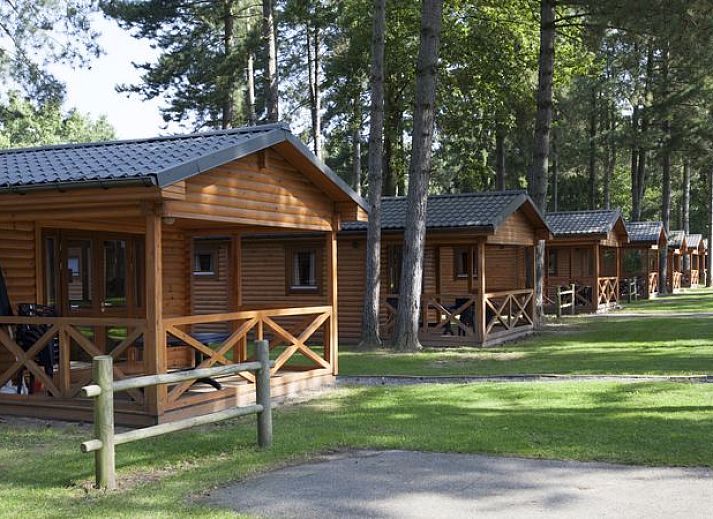 Guest house 054745 • Bungalow Limburg • Mooi Zutendaal | 4-6-persoons chalet | 4-6B 