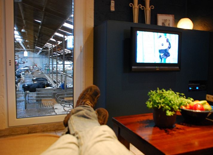 Charmante entree van Akkermanshof vakantiehuis in Bocholt, Limburg, Belgie met gezellige decoratie.