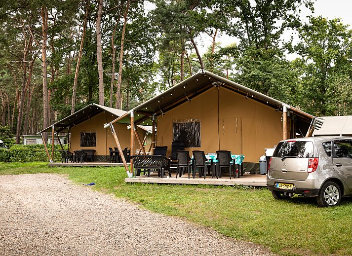 Verblijf 055017 - Tenthuis Limburg - Safaritent