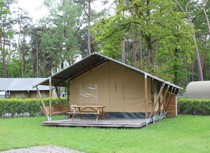 Guest house 055023 • Tent house Limburg • Safaritent + sanitair