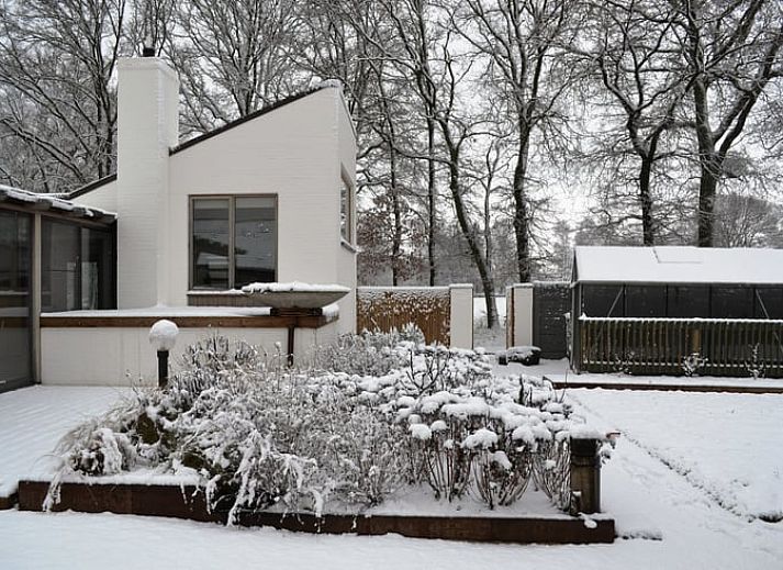 Unterkunft 055101 - Ferienhaus Limburg - Huisje in Helchteren