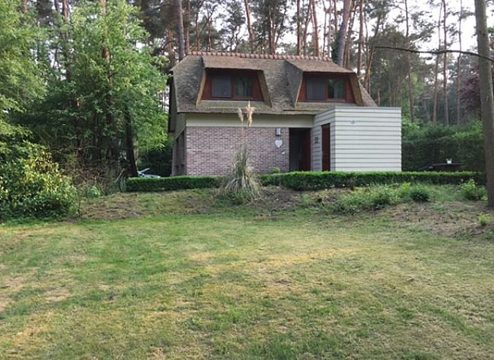 Guest house 055219 - Holiday property Limburg - Vakantiehuisje in Rekem