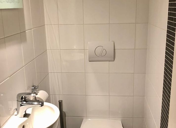 Guest house 055219 - Holiday property Limburg - Vakantiehuisje in Rekem