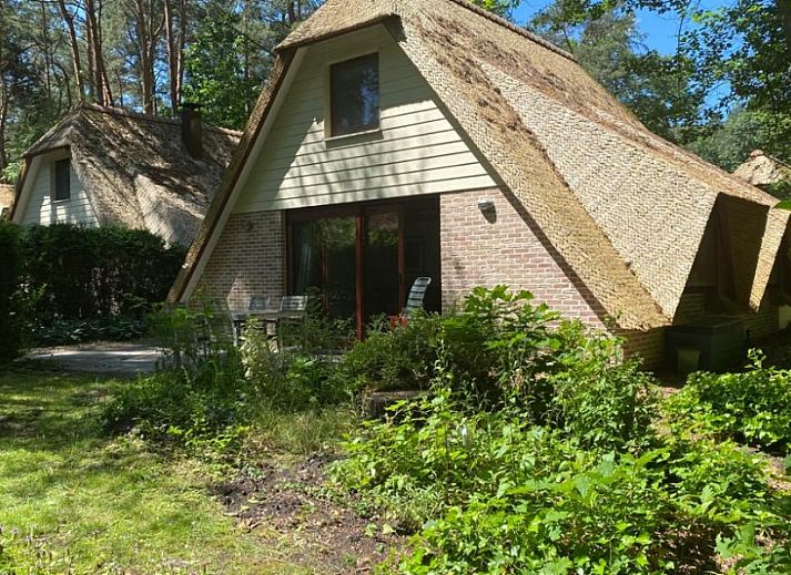Guest house 055222 • Holiday property Limburg • Zwaan 11