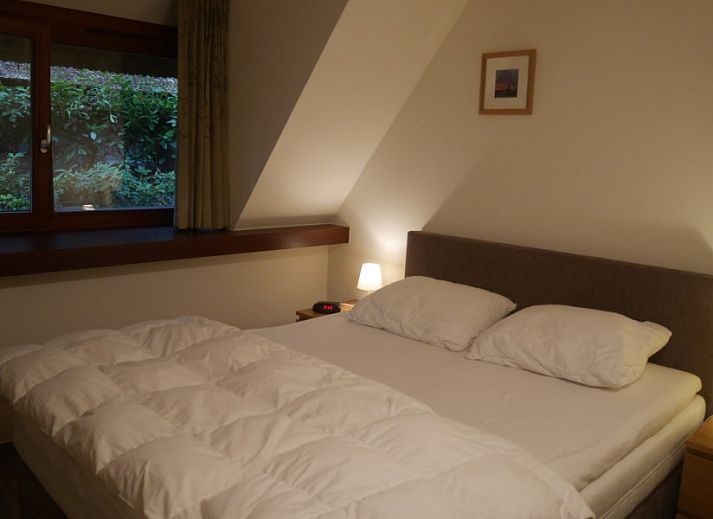 Unterkunft 055222 - Ferienhaus Limburg - Zwaan 11