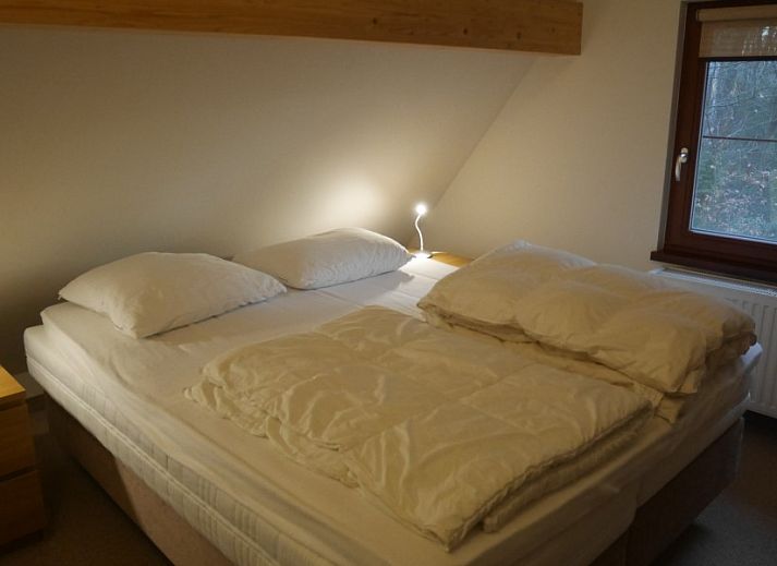 Unterkunft 055222 - Ferienhaus Limburg - Zwaan 11
