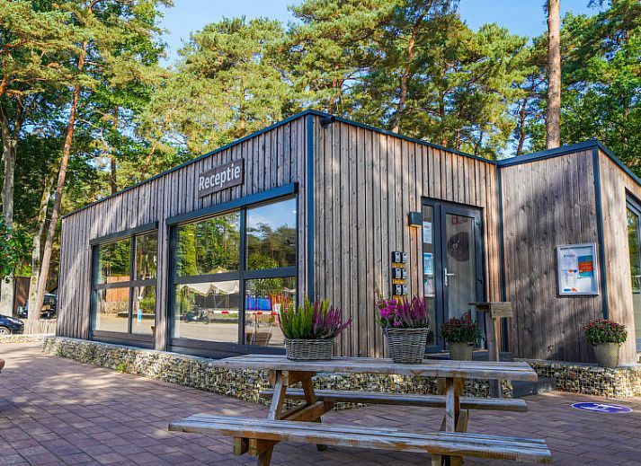 Guest house 056315 - Holiday property Limburg - Vakantiehuis Air Lodge 4